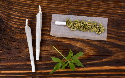 Marijuana background. Marijuana background. Cannabis joint, buds and hemp leaves on wooden table. Addictive drug or alternative medicine.